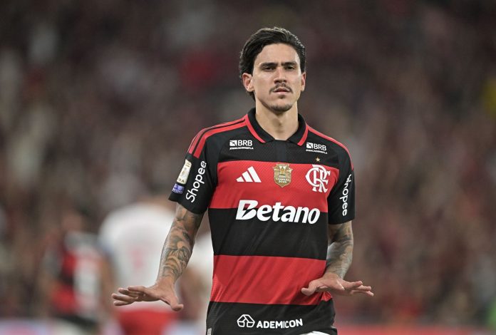 Pedro em Flamengo x RB Bragantino