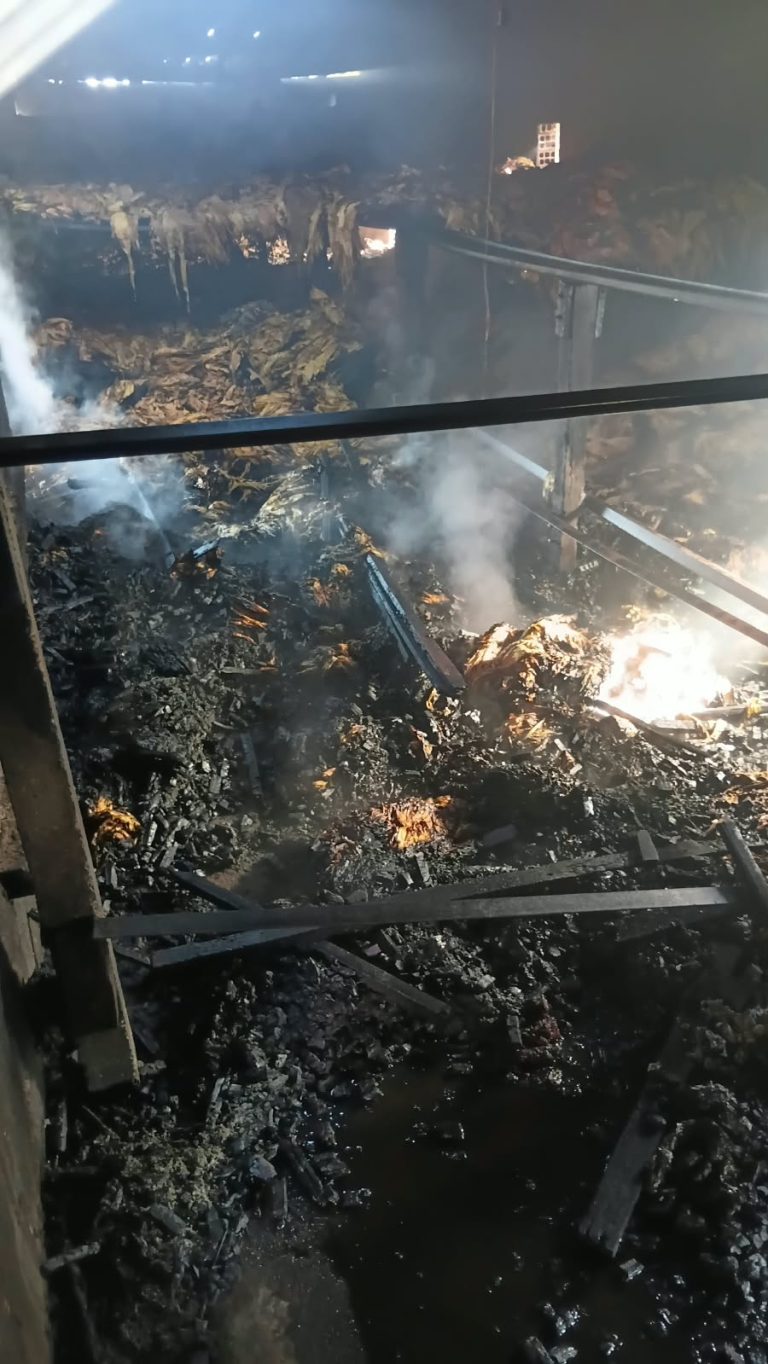 Incêndio atinge estufa de fumo e mobiliza bombeiros em Sombrio