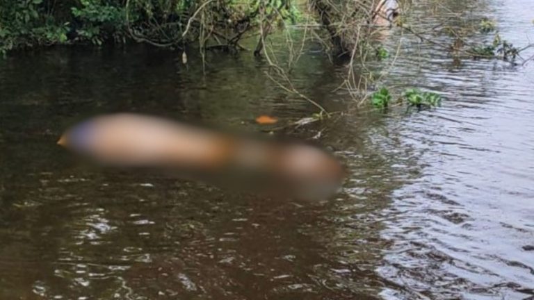 Pescador encontra corpo amarrado dentro de saco em rio de Itapoá
