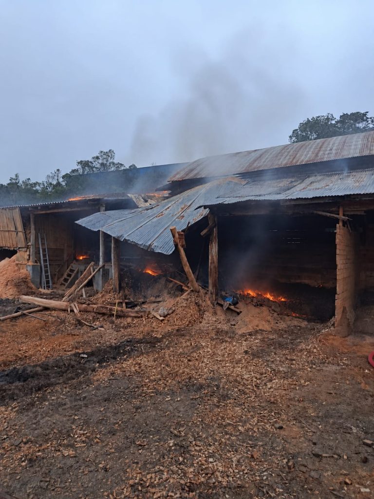 Incêndio atinge madeireira e mobiliza bombeiros em Urussanga