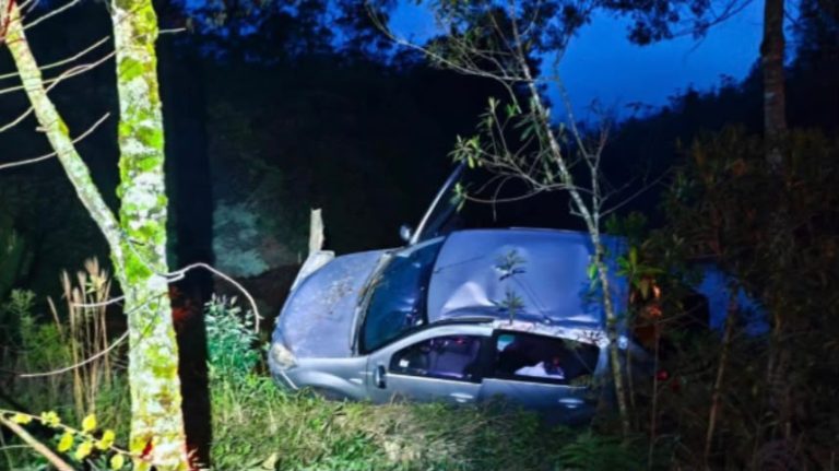 Carro sai da pista, bate em árvores e deixa passageira ferida em SC