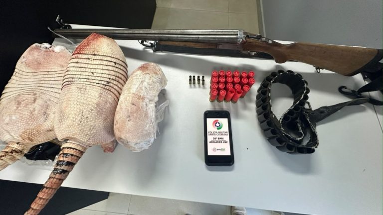 Denúncia da esposa acaba com homem preso com armas e animais abatidos em SC