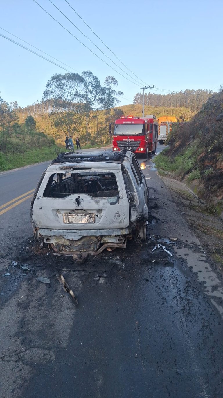 Carro é destruído por incêndio e fogo atinge área de vegetação em SC