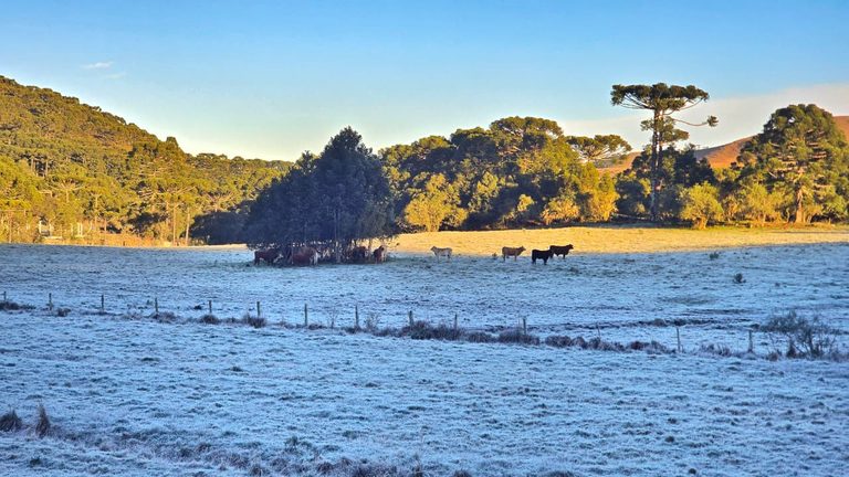 SC terá frio de até -8°C, geada e chance de chuva congelada nesse feriadão