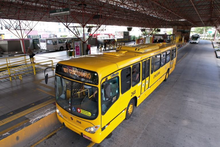 Ônibus do transporte coletivo de Criciúma circulam de graça no domingo