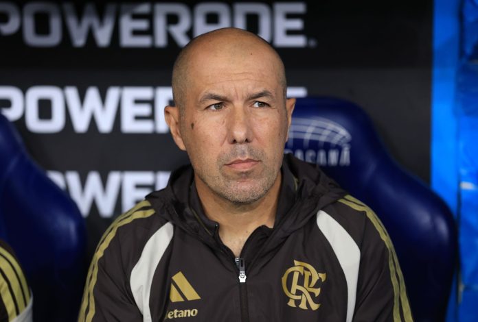 Leonardo Jardim em Flamengo x Cruzeiro
